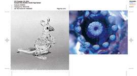 Remixes